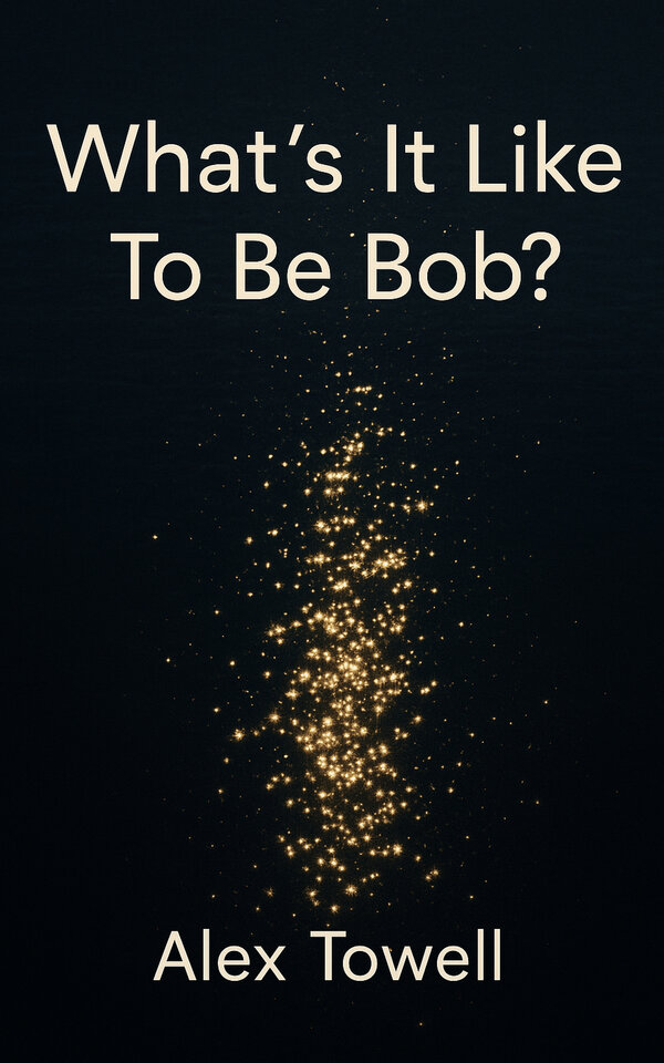 What's It Like To Be Bob?
